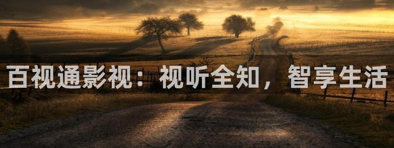 久久这里有精品影院爱桃子影院