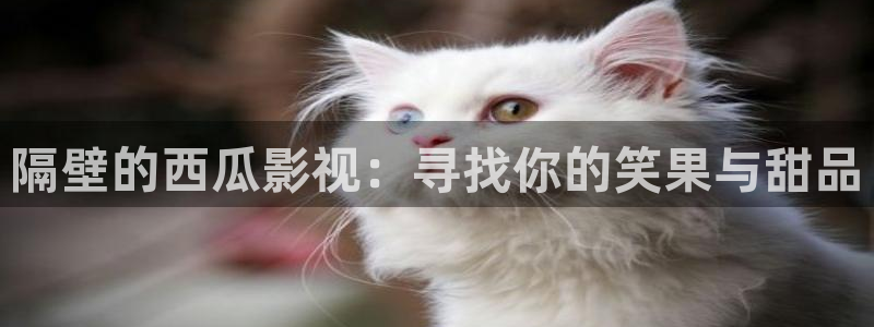 桃子在线星辰影院