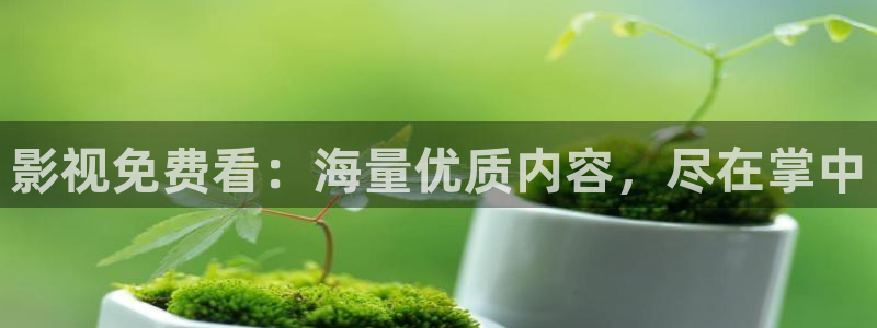 桃子视频影院在线观看